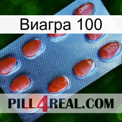 Виагра 100 06